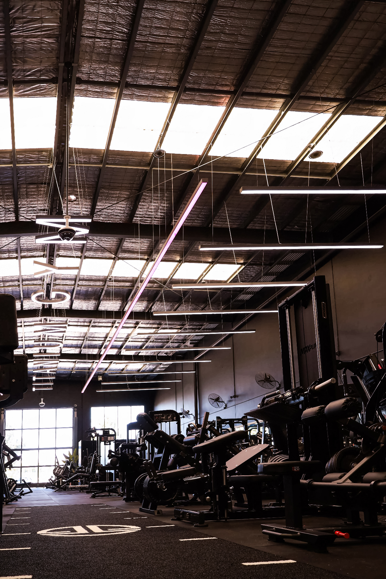 Strength floor lined with premium commercial machines and natural light